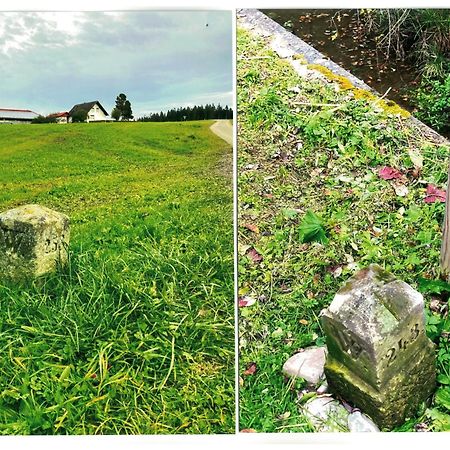 Uebernachtungsmoeglichkeit In Maierhoefen Grunenbach ภายนอก รูปภาพ